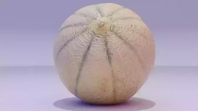Melon