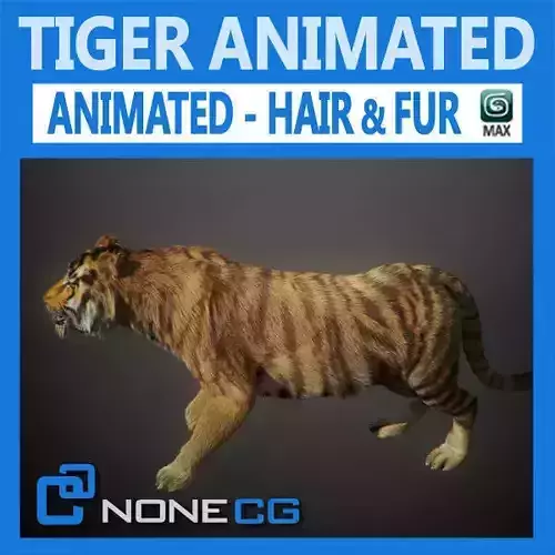 Animated Tiger 3D model