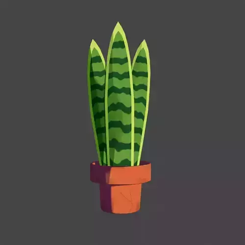 Snake Plant