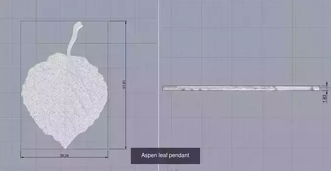 Aspen leaf collection