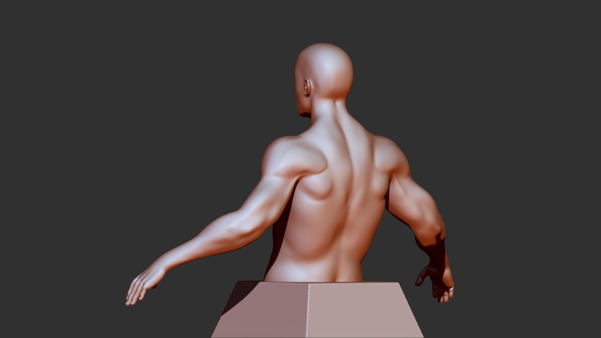 male torso 3d print model 3D model_6