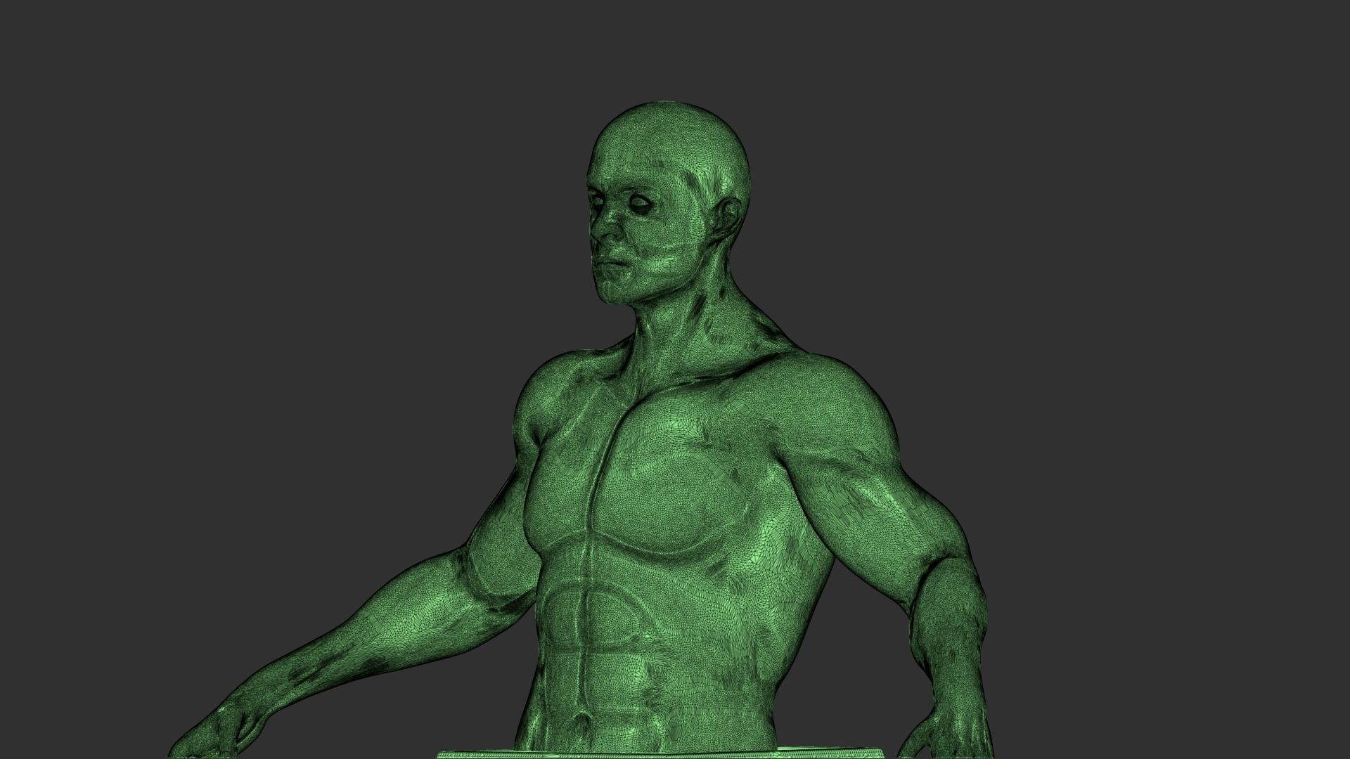 male torso 3d print model 3D model_9