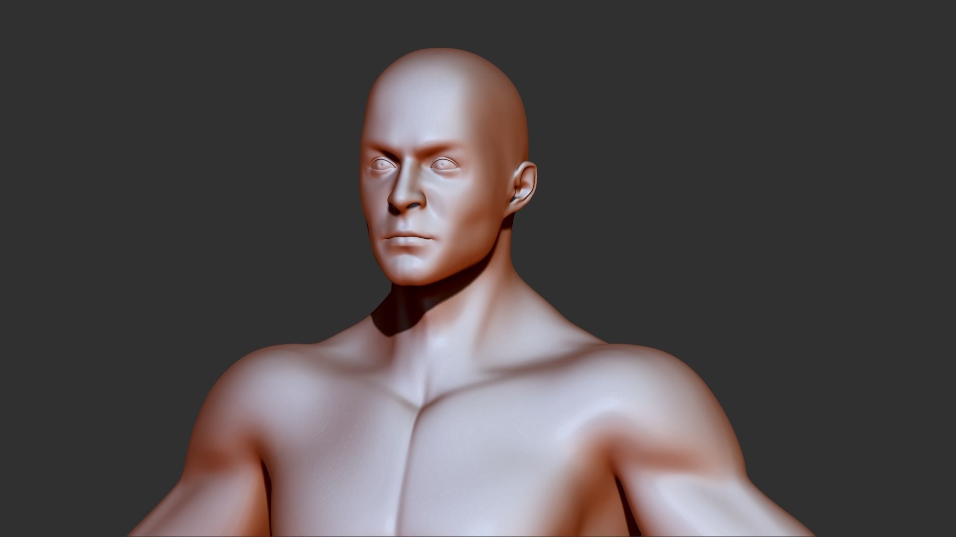 male torso 3d print model 3D model_2