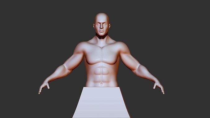 male torso 3d print model  3D model