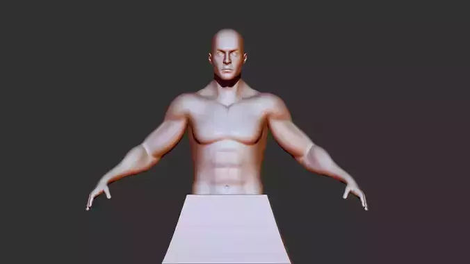 male torso 3d print model  3D model