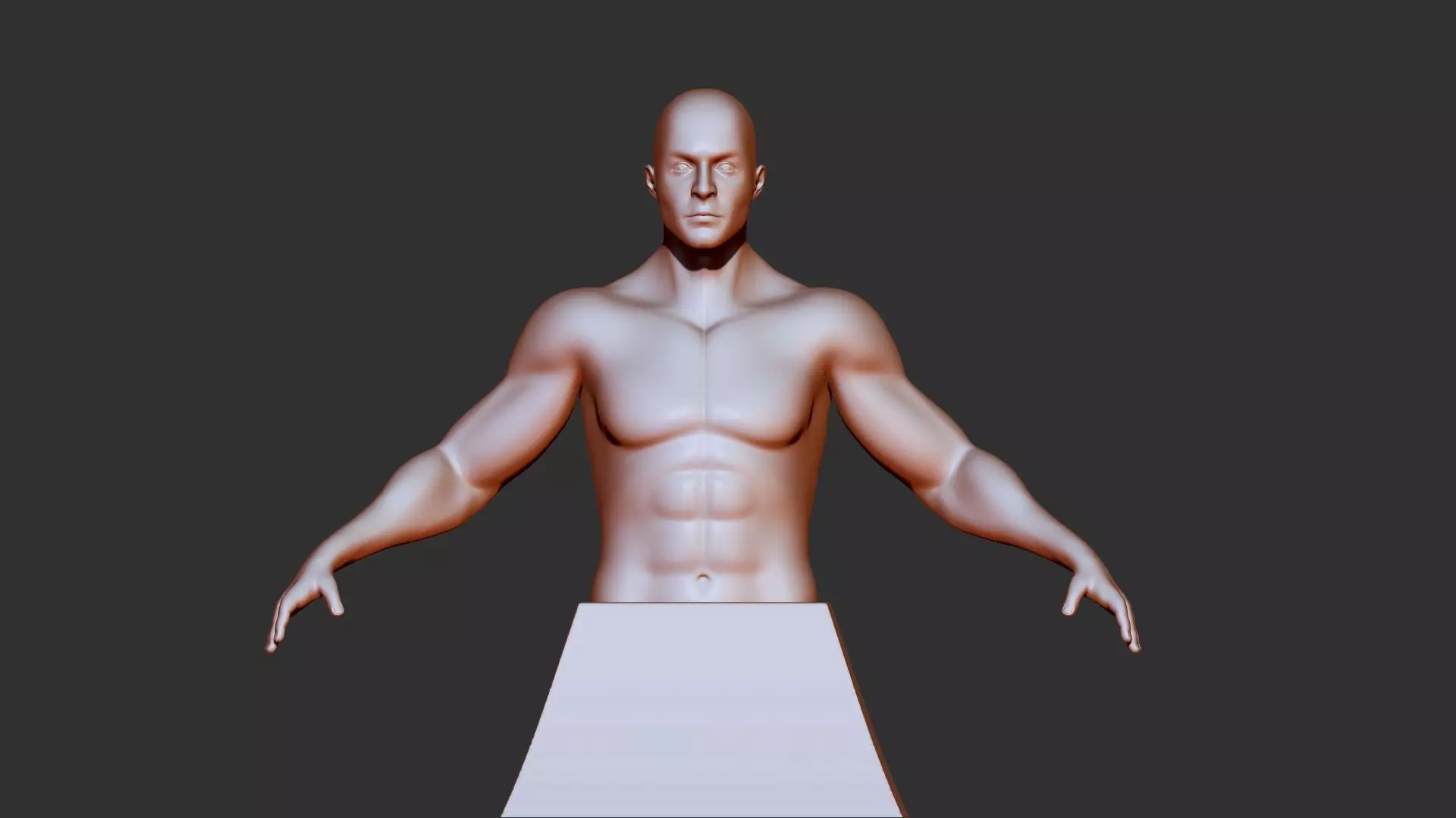 male torso 3d print model 3D model_0
