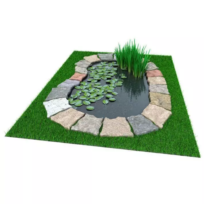 Garden Pond With Foliage 3D model_0
