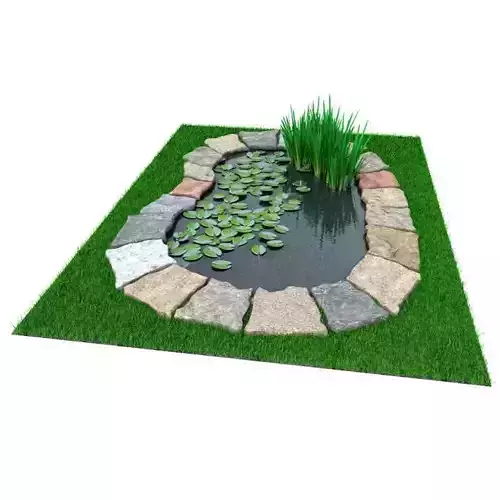 Garden Pond With Foliage