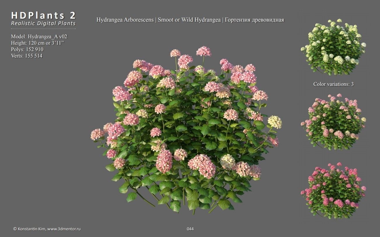 XfrogPlants HDPlants 2 3D model_6