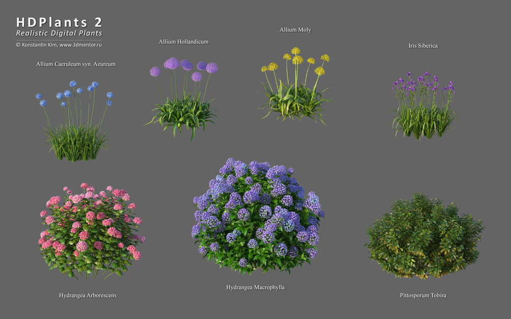 XfrogPlants HDPlants 2 3D model_2