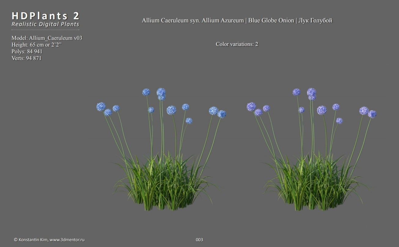 XfrogPlants HDPlants 2 3D model_3