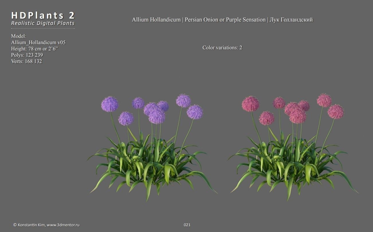 XfrogPlants HDPlants 2 3D model_4