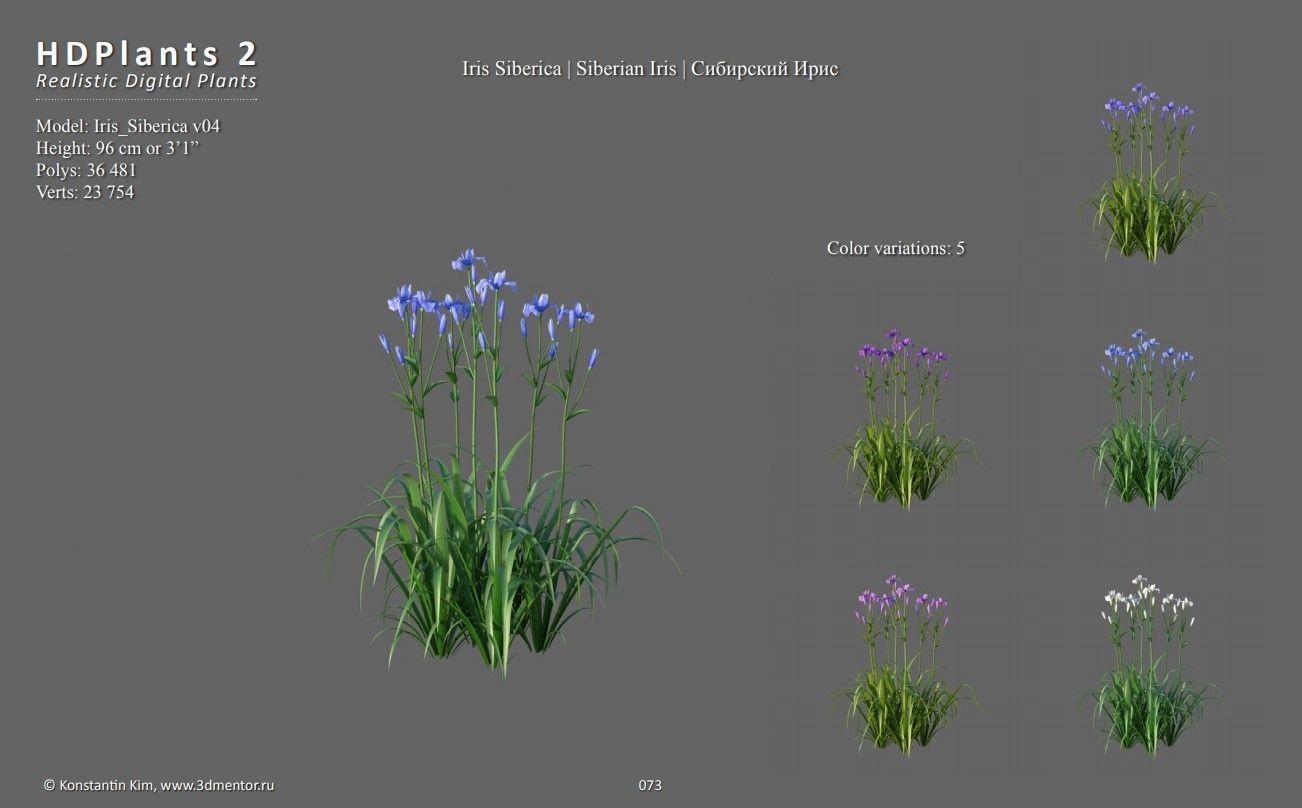XfrogPlants HDPlants 2 3D model_7
