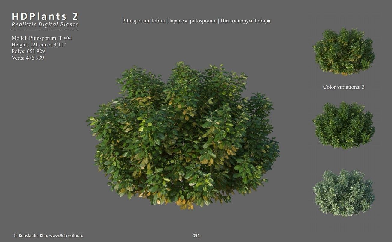 XfrogPlants HDPlants 2 3D model_9