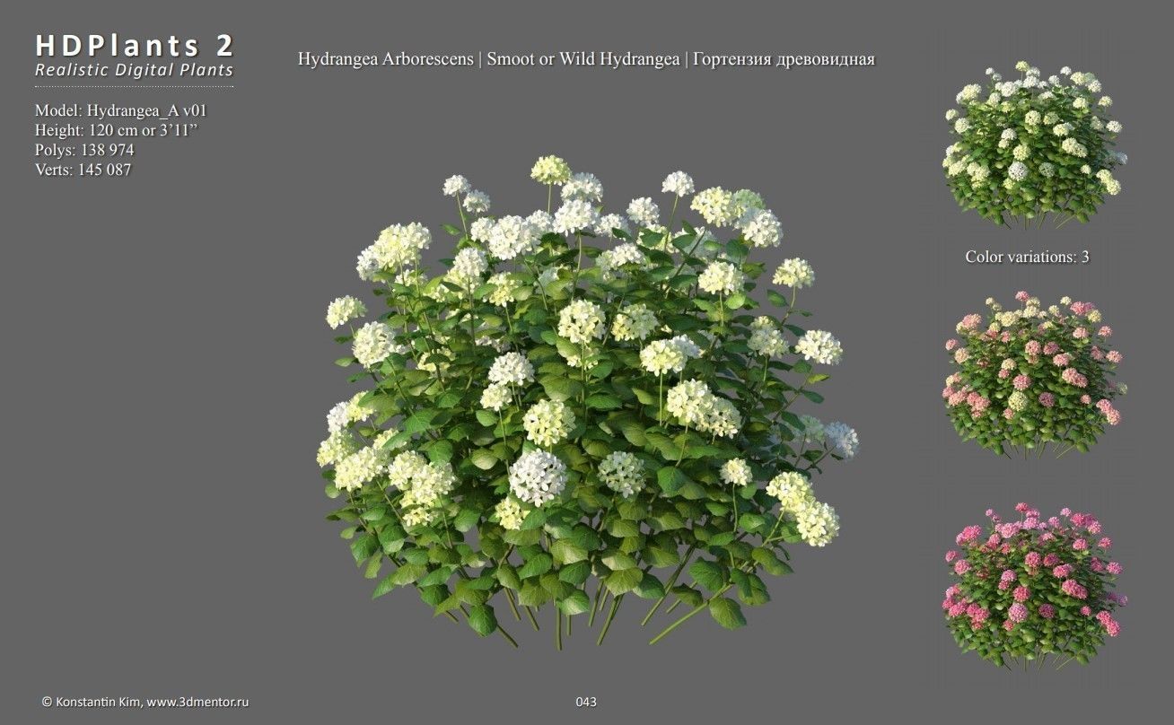 XfrogPlants HDPlants 2 3D model_5