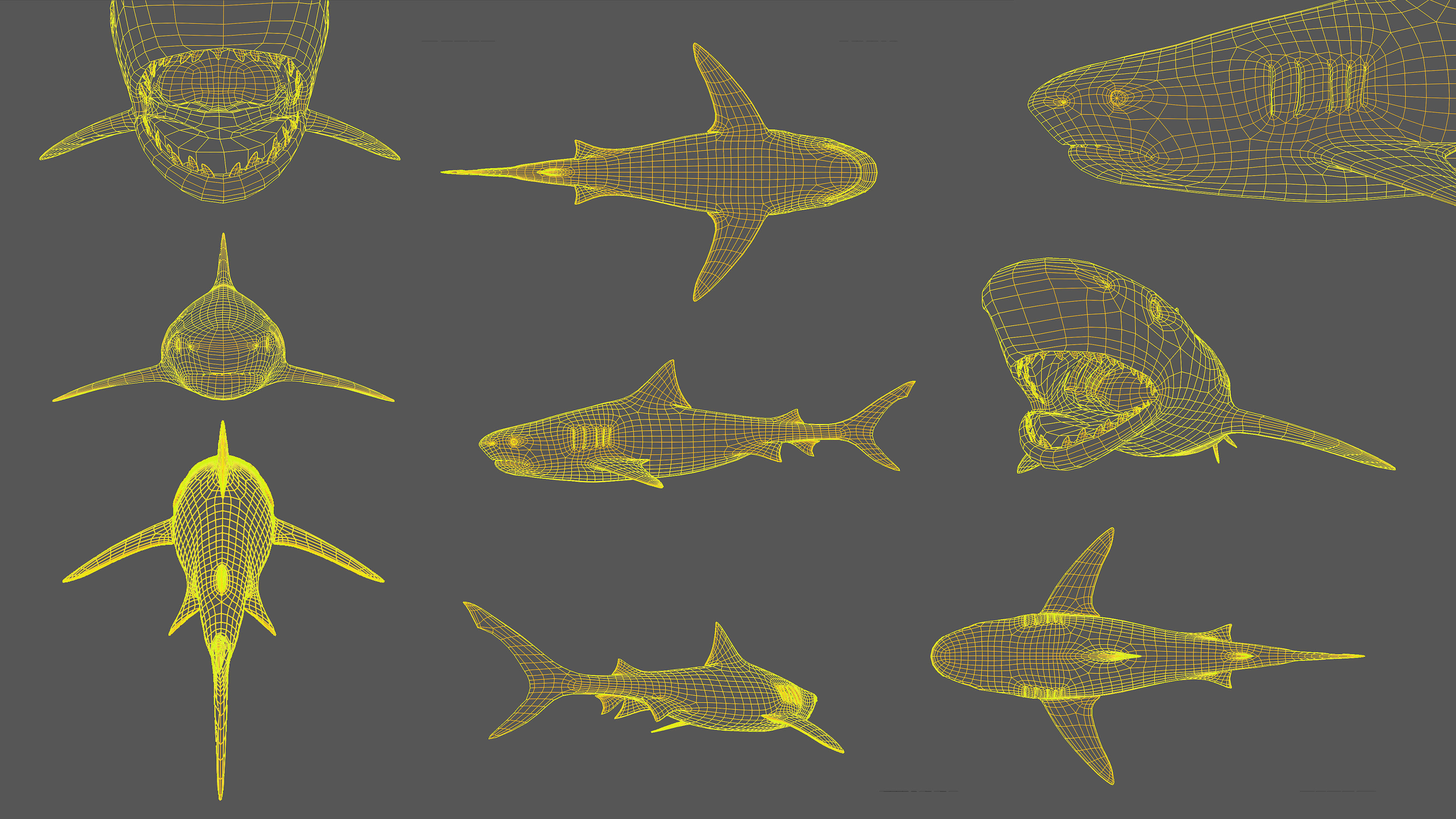 Tiger Shark Low-poly 3D model Low-poly 3D model_9