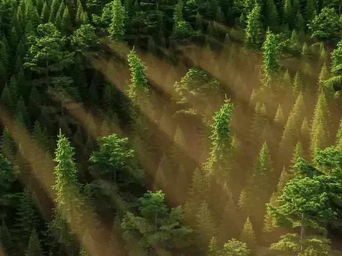 XfrogPlants HDTrees 5 3D model