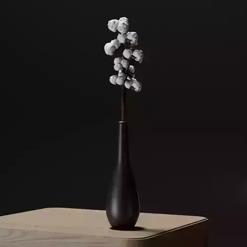Cotton Branch Plant In Black Vase