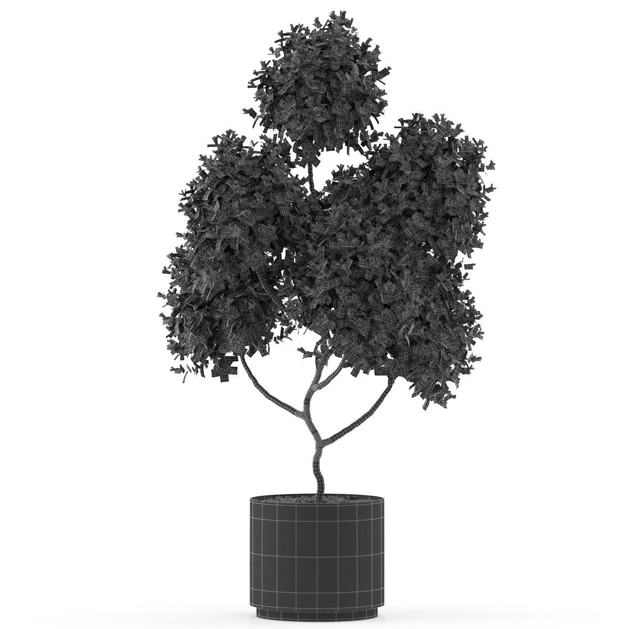 Plants collection 496 3D model_4