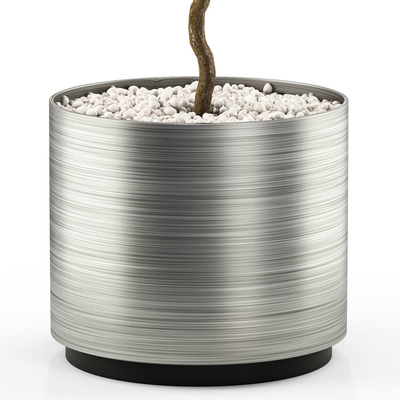 Plants collection 496 3D model_2