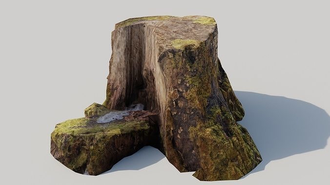 Tree Stump Scan Low-poly 3D model