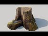 Tree Stump Scan Low-poly 3D model_1