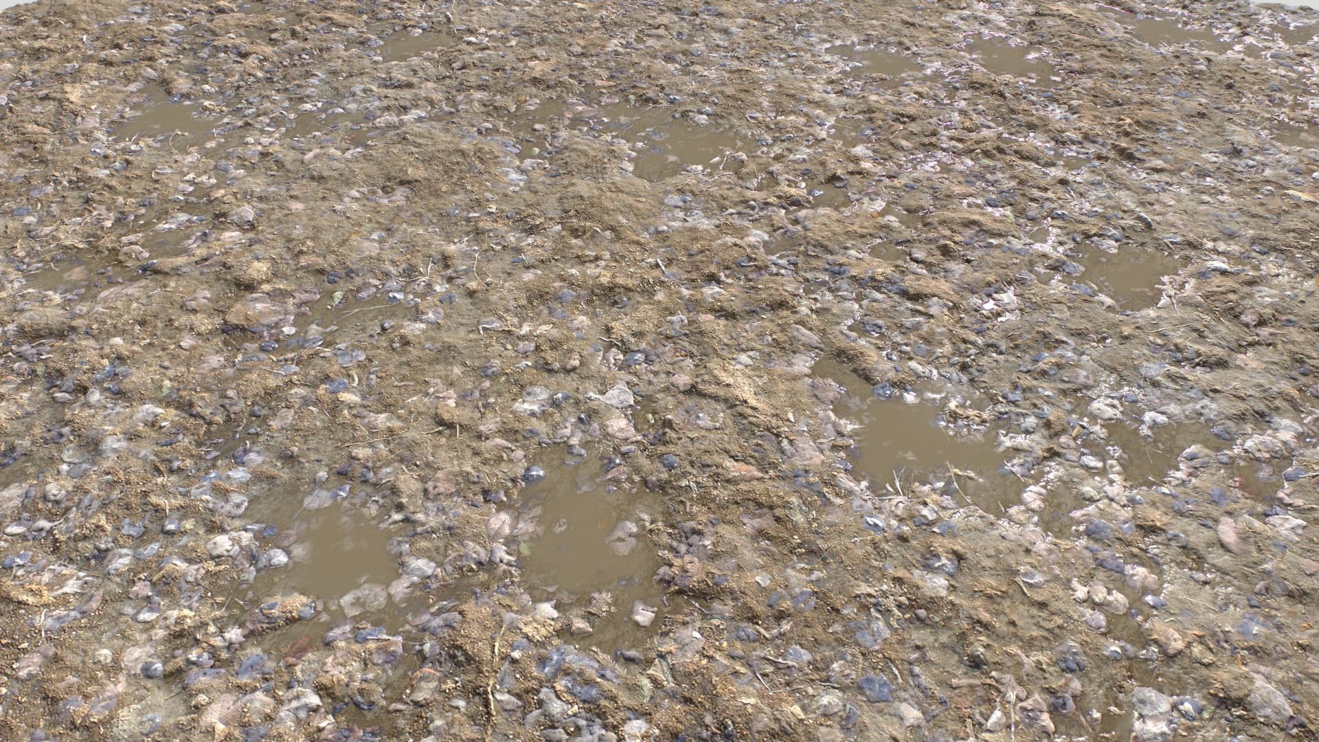 Dirt Terrain PBR Pack 18 Texture_8