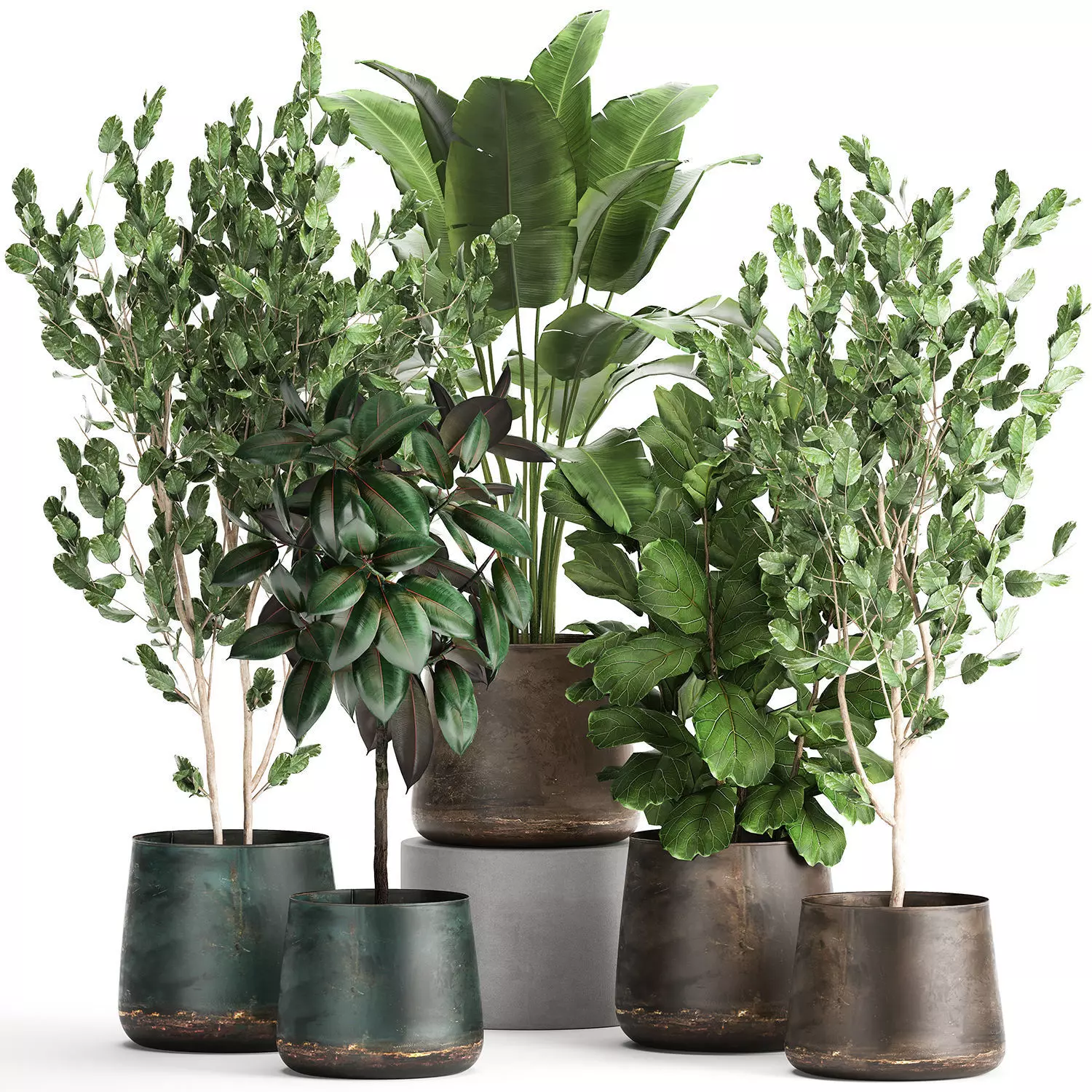 Houseplants in a flowerpot for the interior 942 3D model