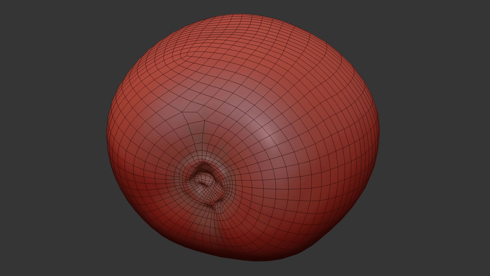 Kiwi  3D model_10