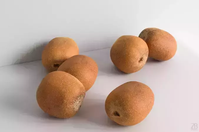 Kiwi  3D model Kiwi  3D model