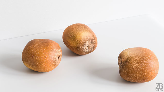 Kiwi  3D model