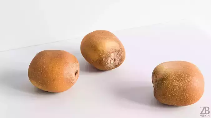 Kiwi  3D model