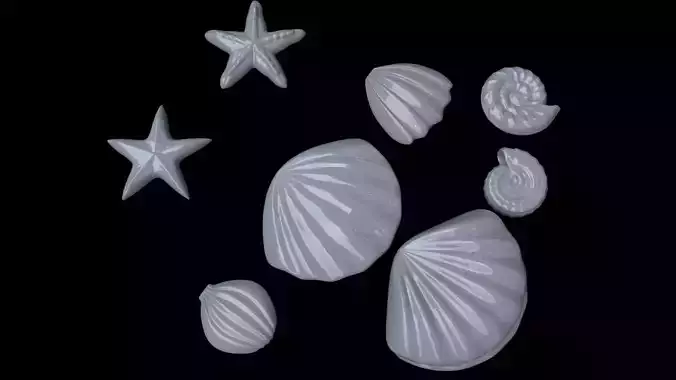 Seashells shells and starfish