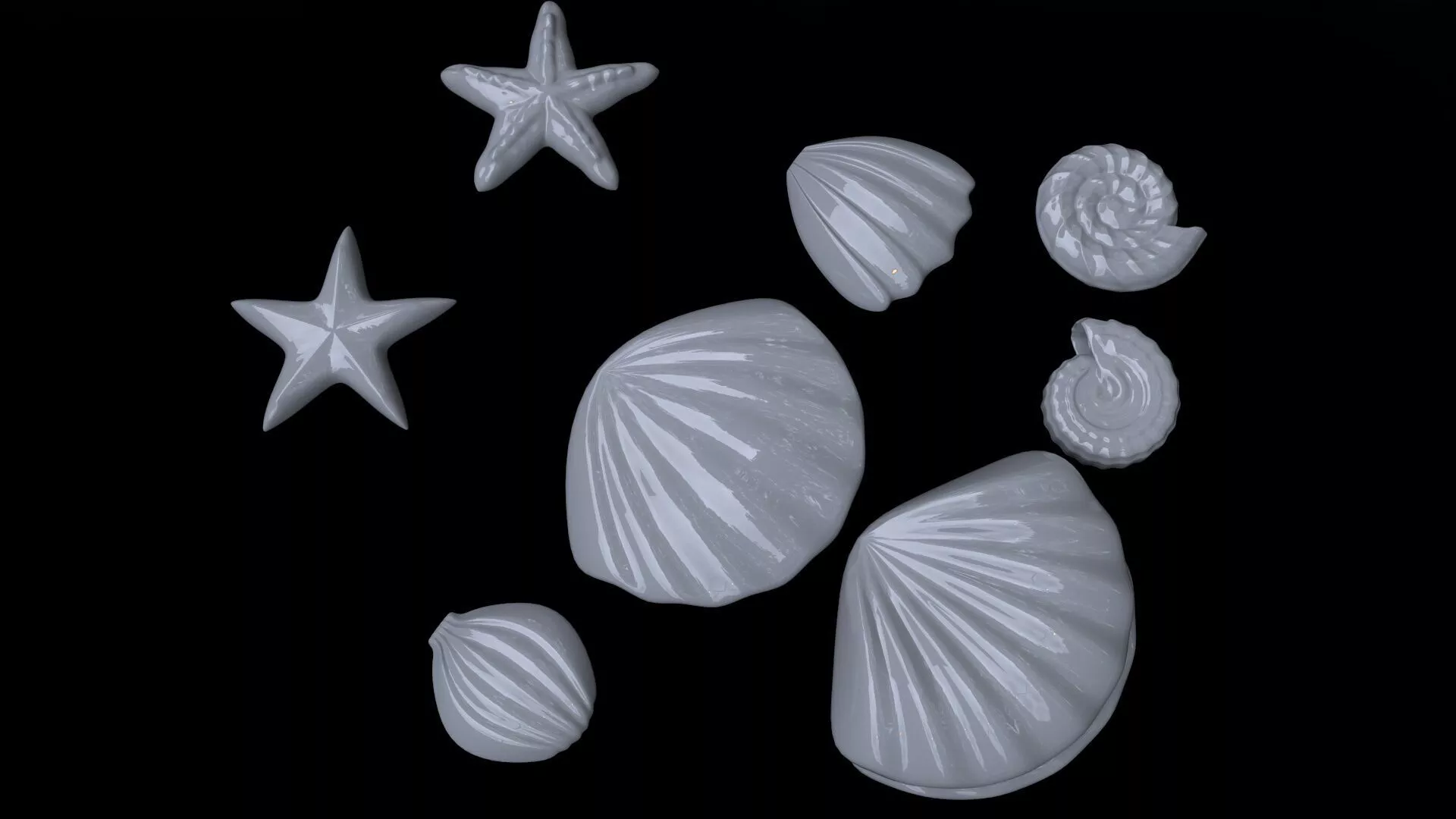 Seashells shells and starfish 3D model