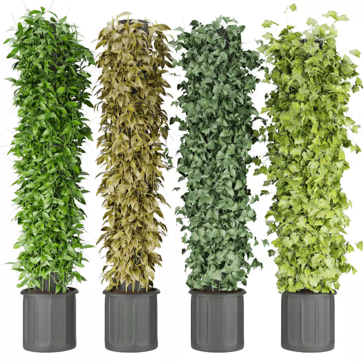 Collection plant vol 113 3D model_0