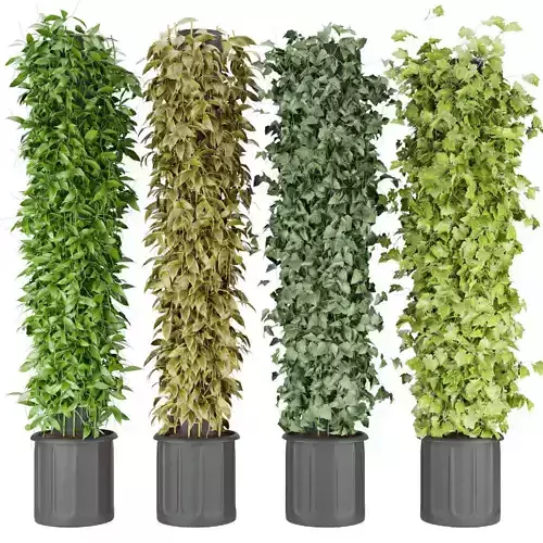 Collection plant vol 113 3D model