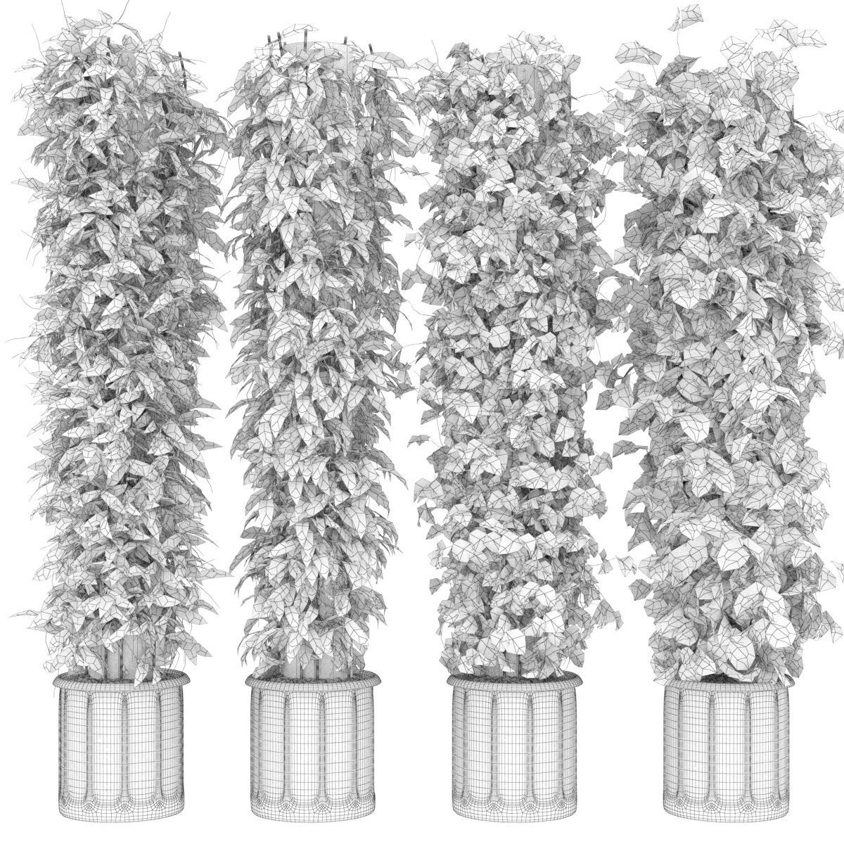 Collection plant vol 113 3D model_1