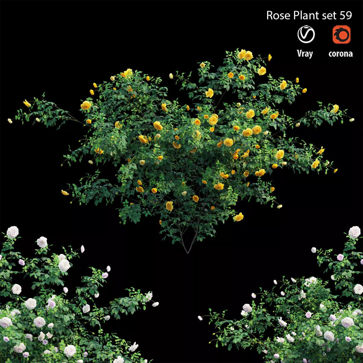 Rose plant set 59 3D model