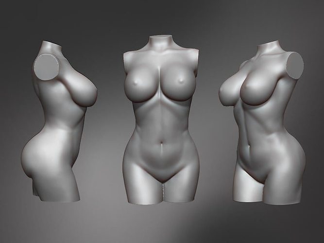 Female Torso  3D print model
