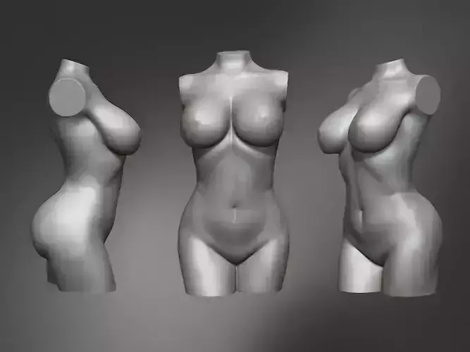 Female Torso  3D print model