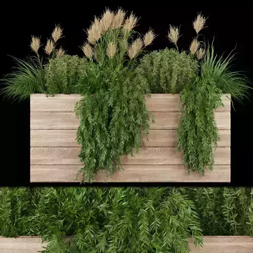 Collection plant vol 116 3D model