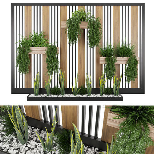 Collection plant vol 117 3D model