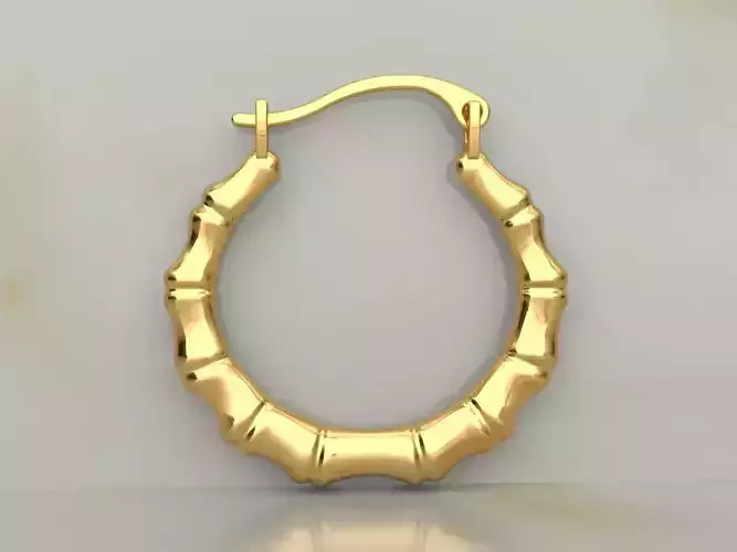 Earrings in lock  02