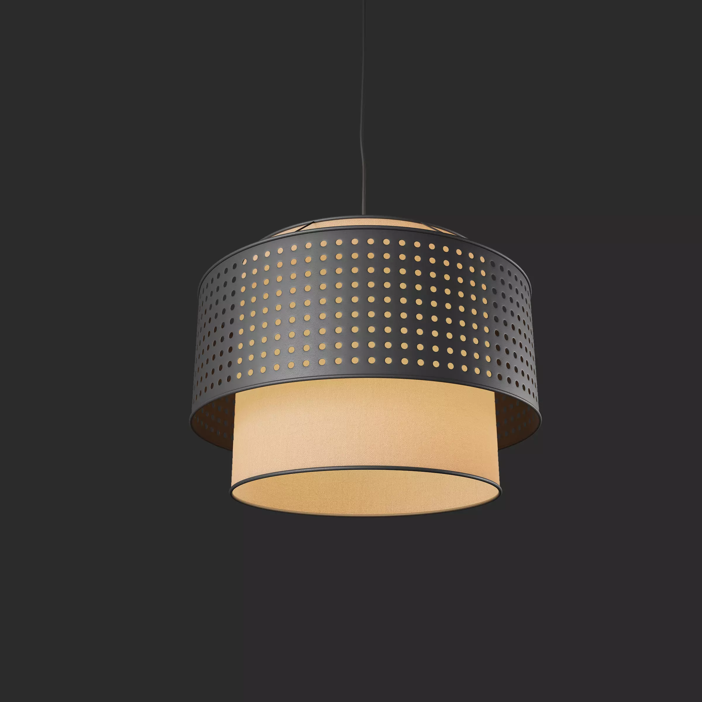 Metal hanging lamp 3D model_0