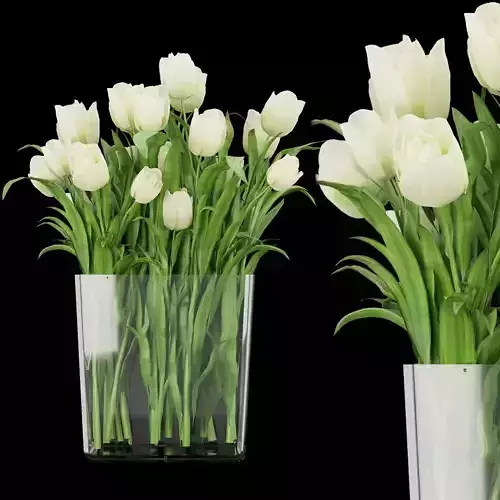 Collection plant vol 119