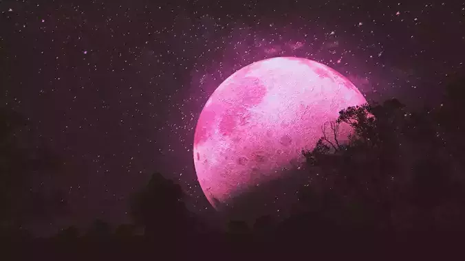 Pink Moon