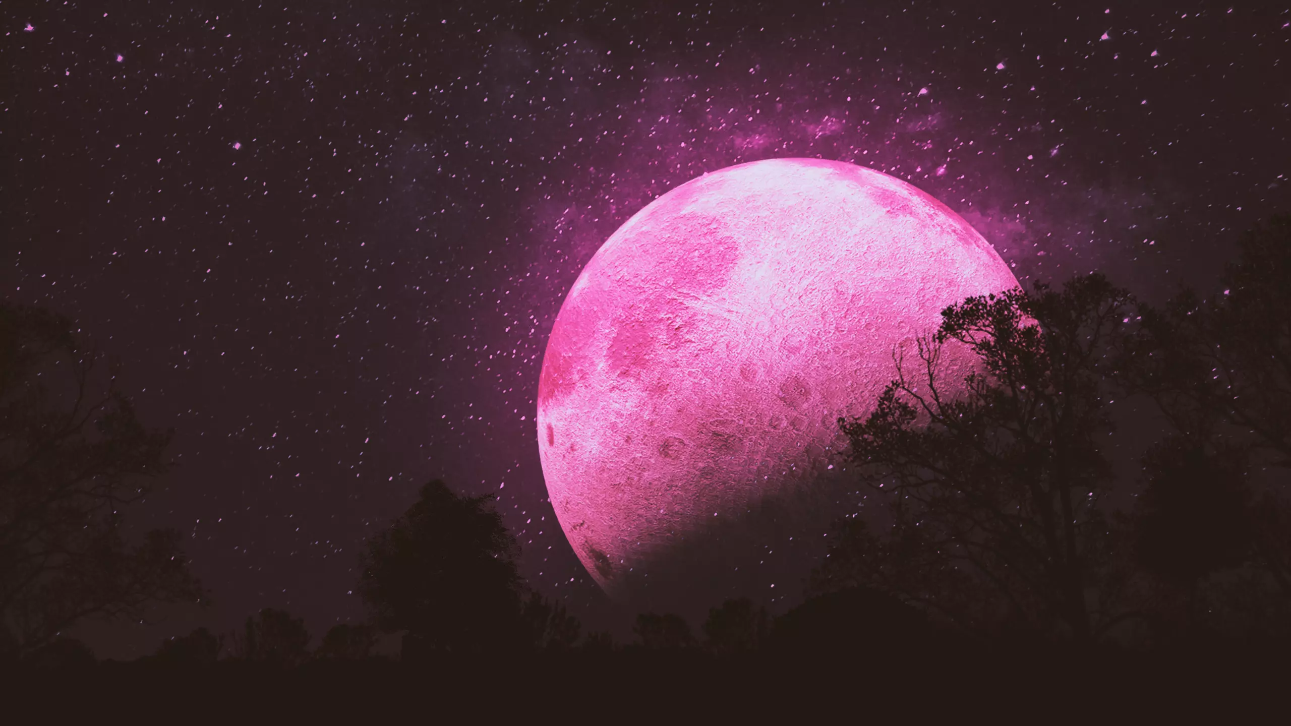 Pink Moon Free 3D model