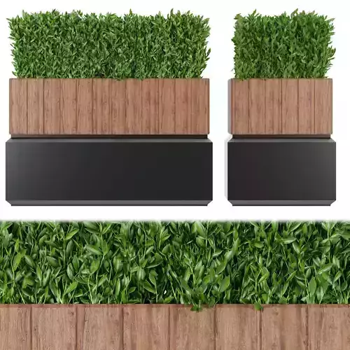 Collection plant vol 120 3D model