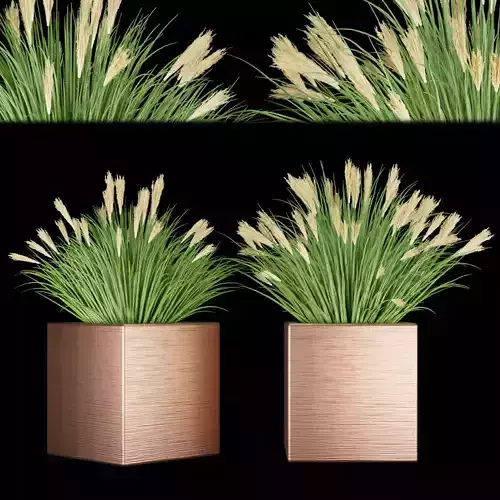 Collection plant vol 121 3D model