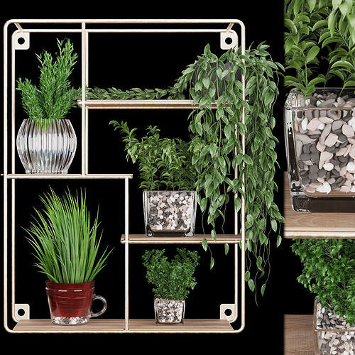 Collection plant vol 122 3D model